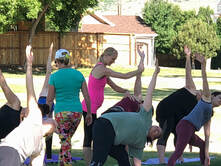Donation Based Yoga and Hands-On Adjustments with Frog Pose Yoga